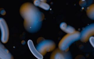 bacteria in water zoomed in